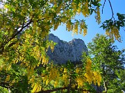 Baite di Mezzeno-Lago Branchino, gran festa di fiori-22giu26